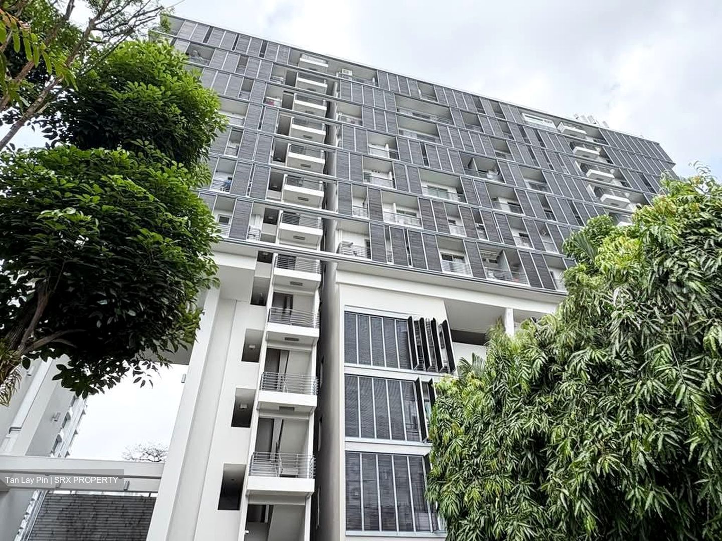 Three Three Robin (D10), Apartment #605856741